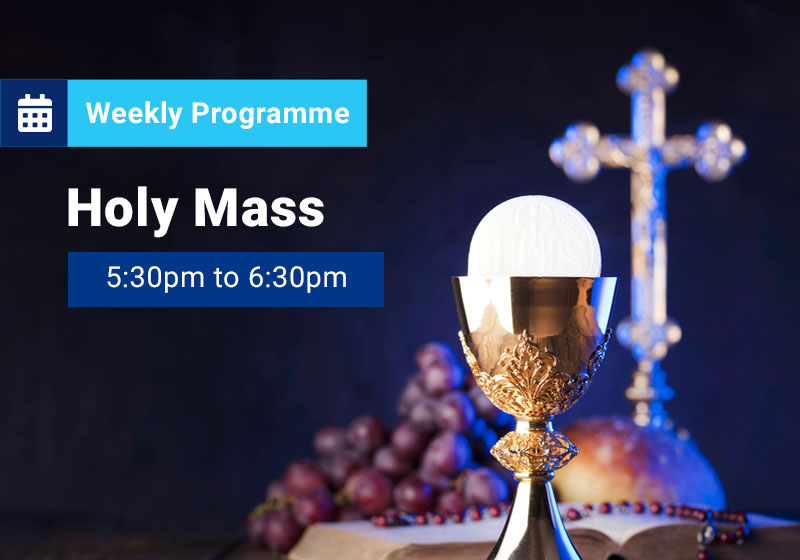Human papillomavirus infection visual data 8